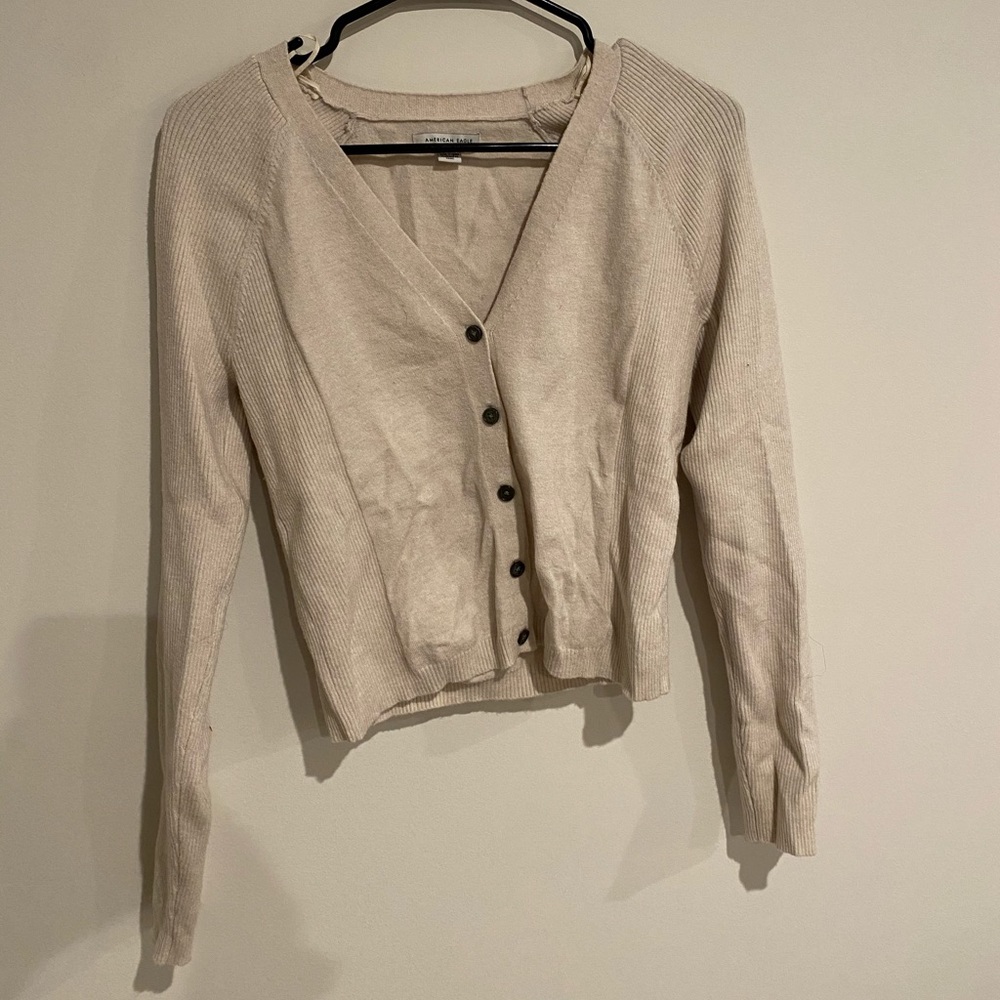 American Eagle sweater